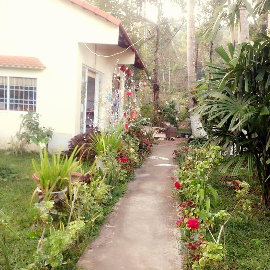 Duc Anh Bungalow フーコック エクステリア 写真
